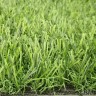 Искусственная трава IT Grass 30 мм 2 цвета